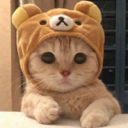 Frendlicat