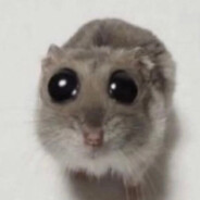 y.o/